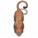Fang & Claw token